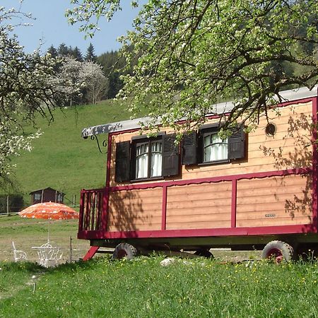 Le Repaire De Mitzerle Villa Mitzach Eksteriør bilde